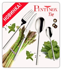 Pintinox Посуда Серия столовых приборов Tie